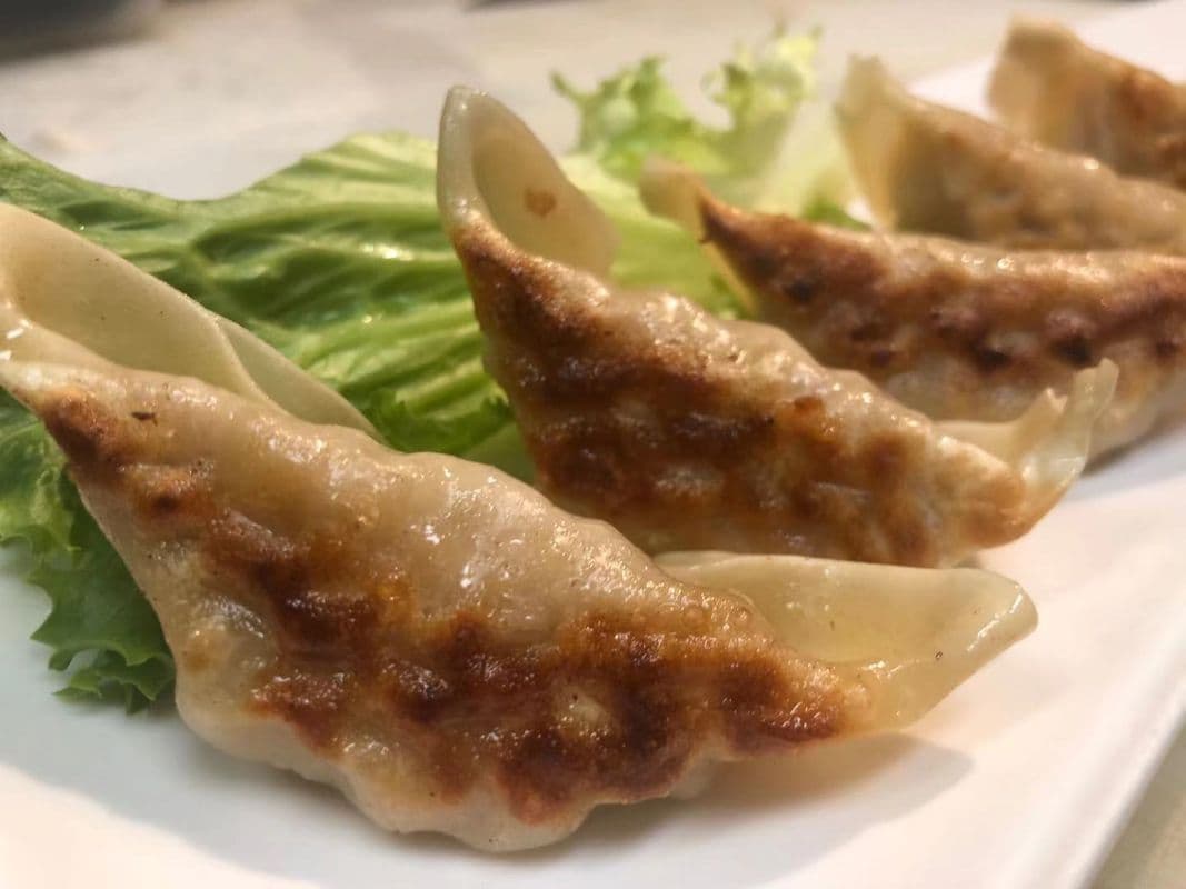 Pork Gyoza