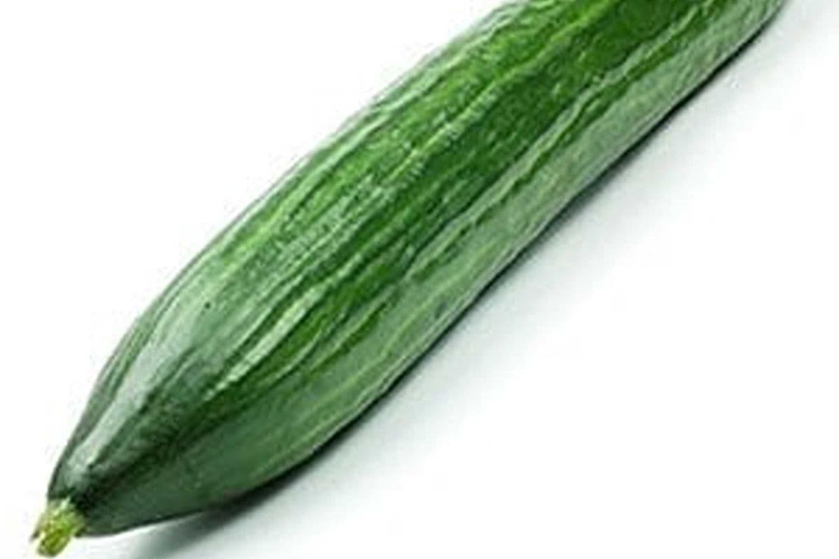 Concombre anglais (1) / English Cucumber (1)