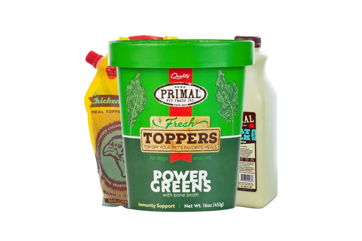 Primal Pet Food Frozen Treat