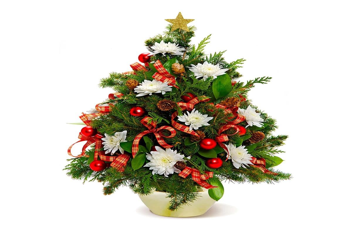 Oh Christmas Tree