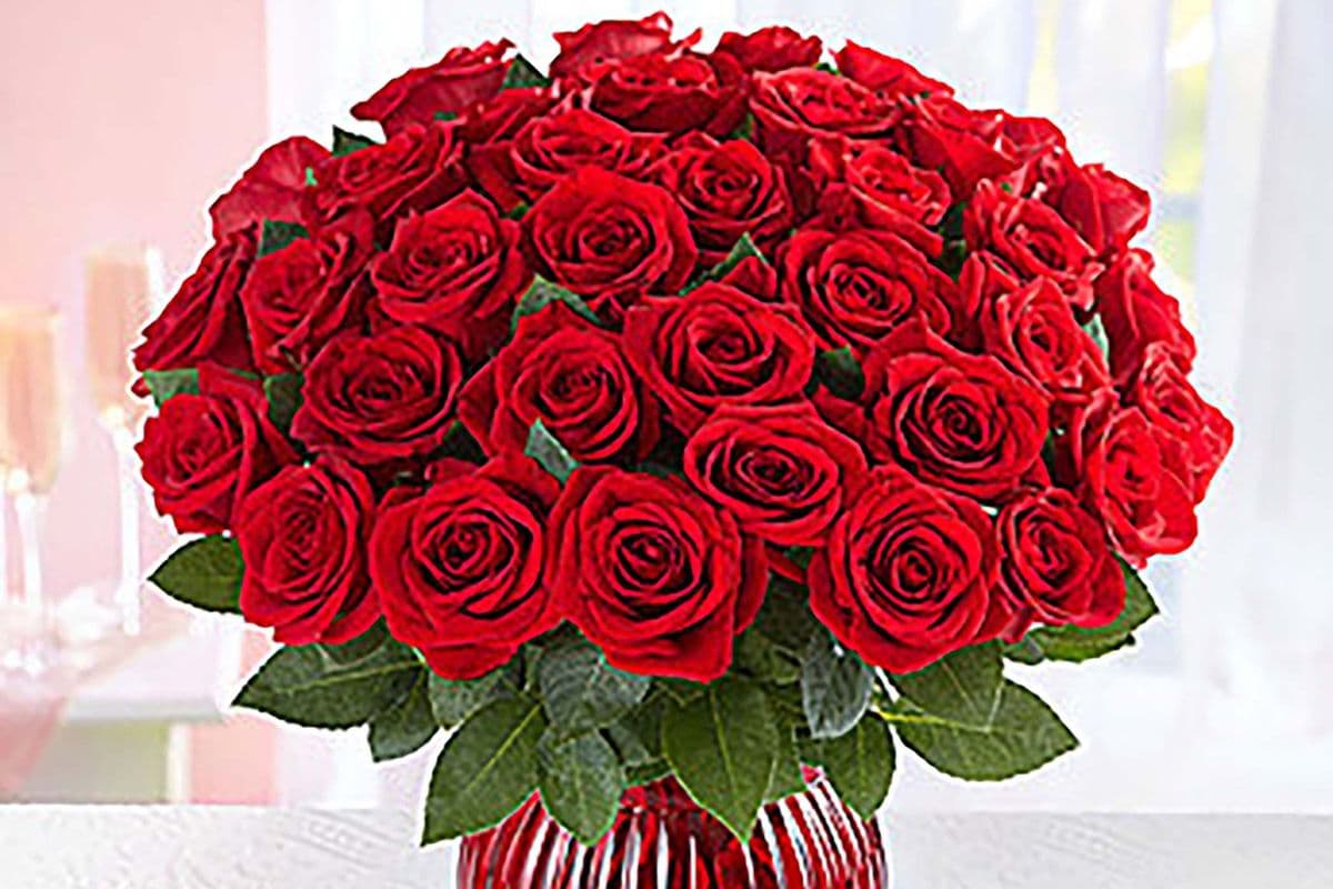 Three Dozen Romantic Red Roses