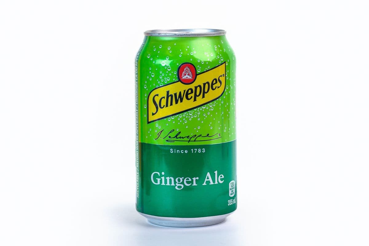 Can Ginger Ale (12 oz)