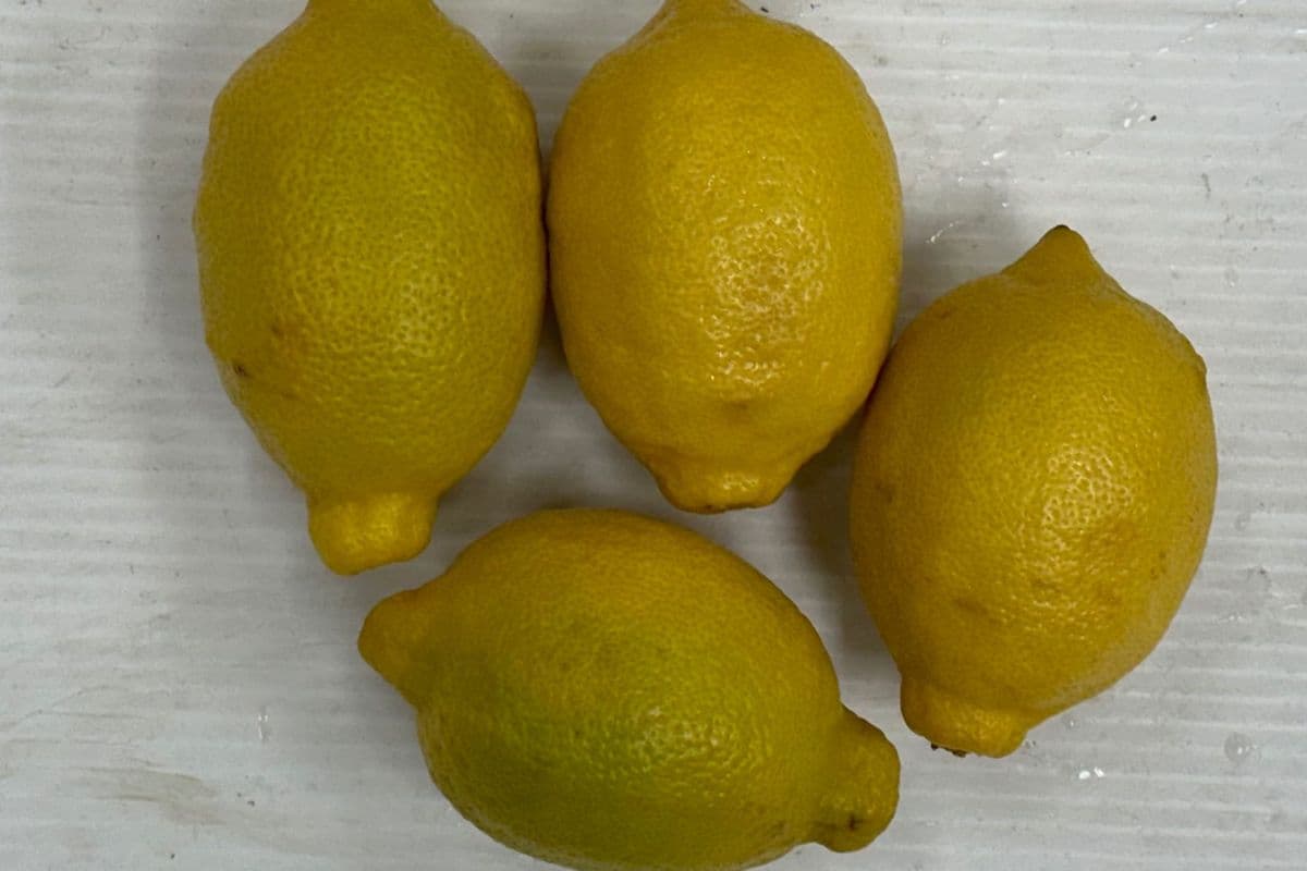 Large Lemons (Each )