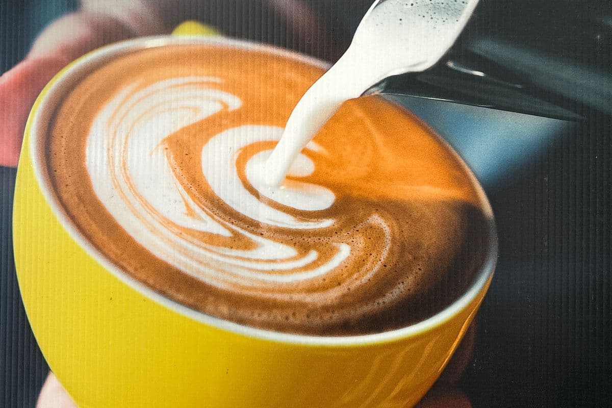 Cafe Latte (Hot or Iced)