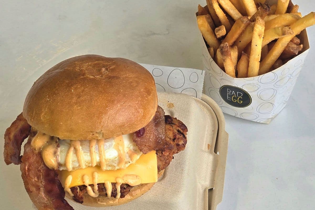 The Ultimate Chicken Burger and Fries