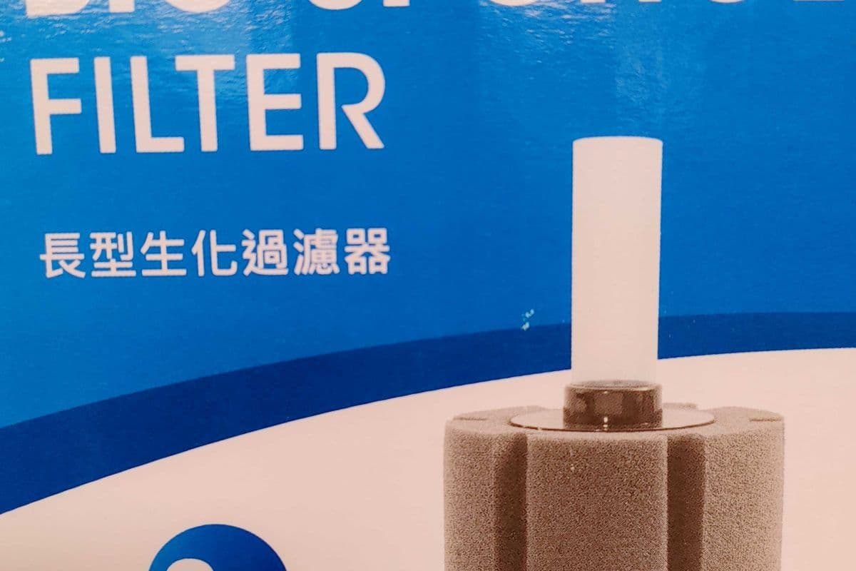 Small Rectangle Sponge Filter (20 g)