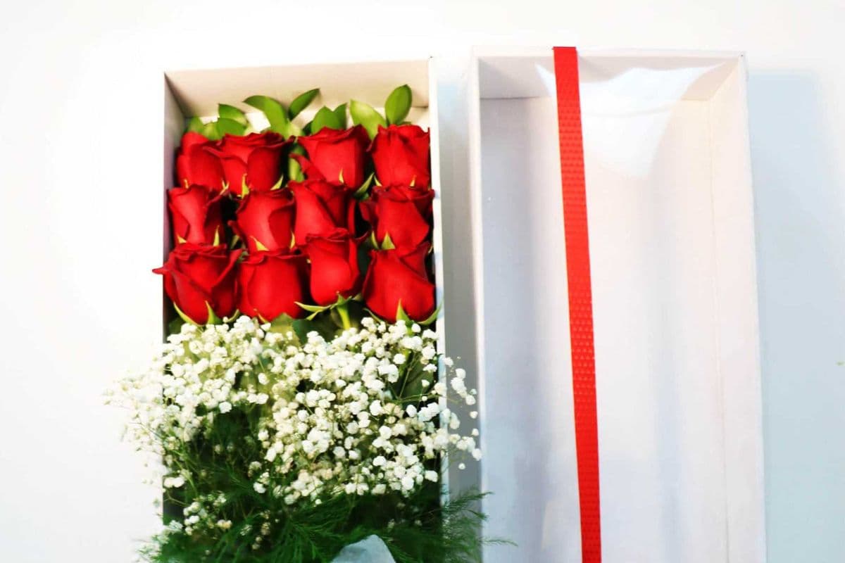 12 Red Rose Box