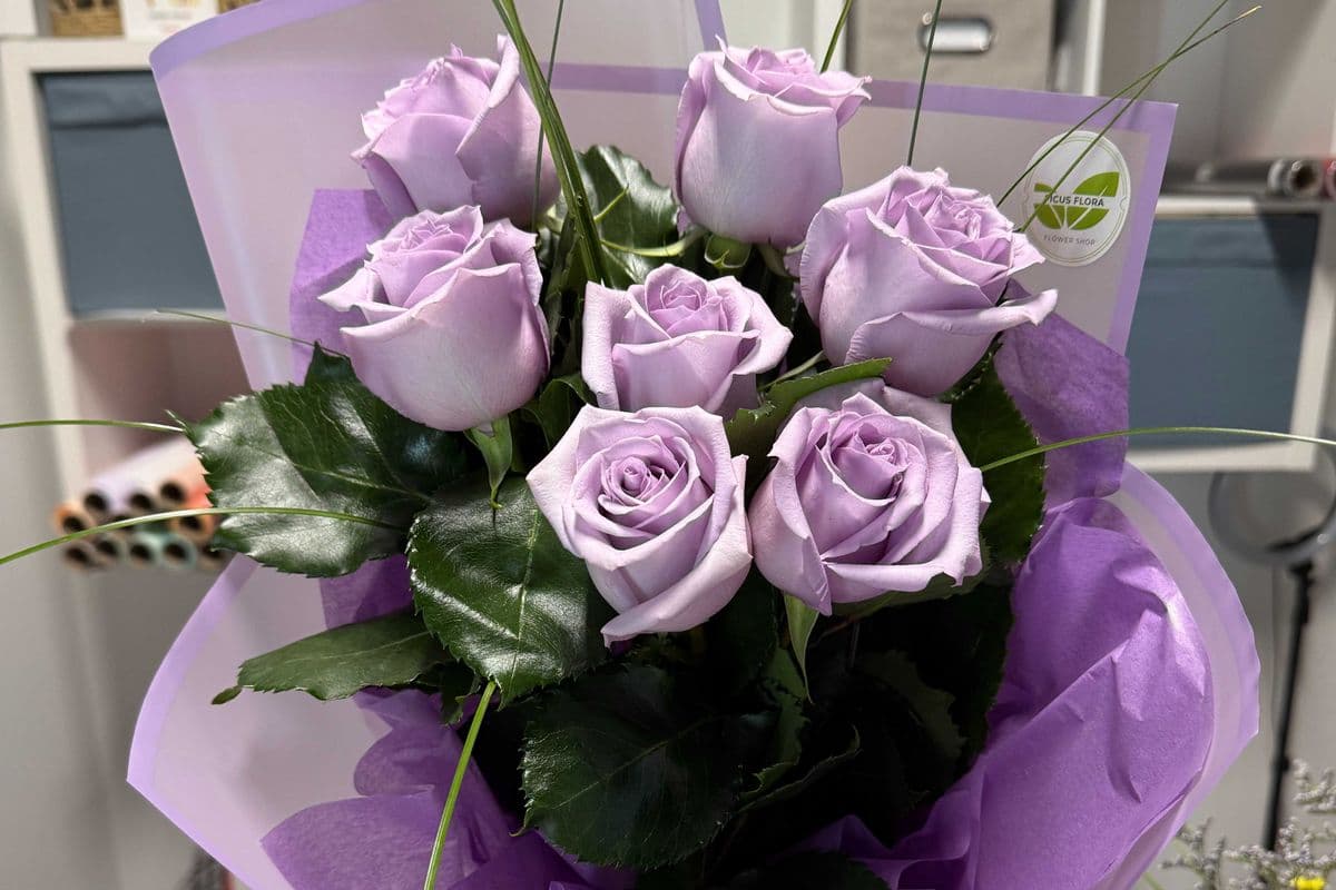 Lavender Roses