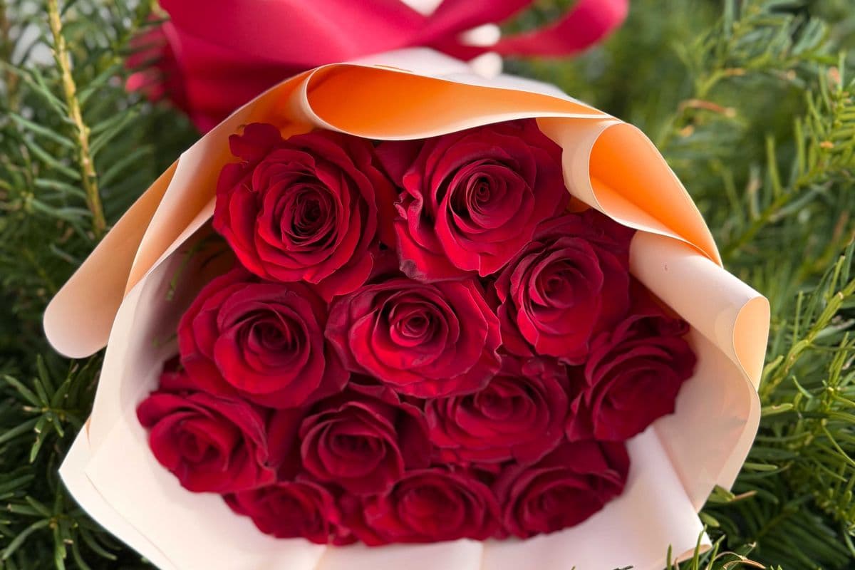 Romantic Scarlet Roses