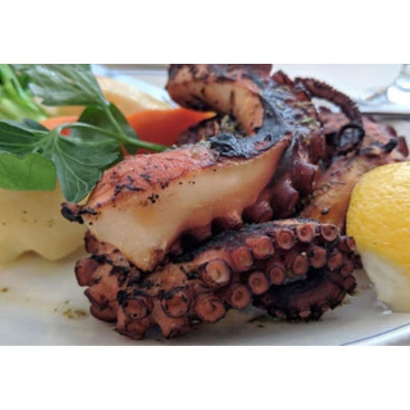 Octopus Skaras