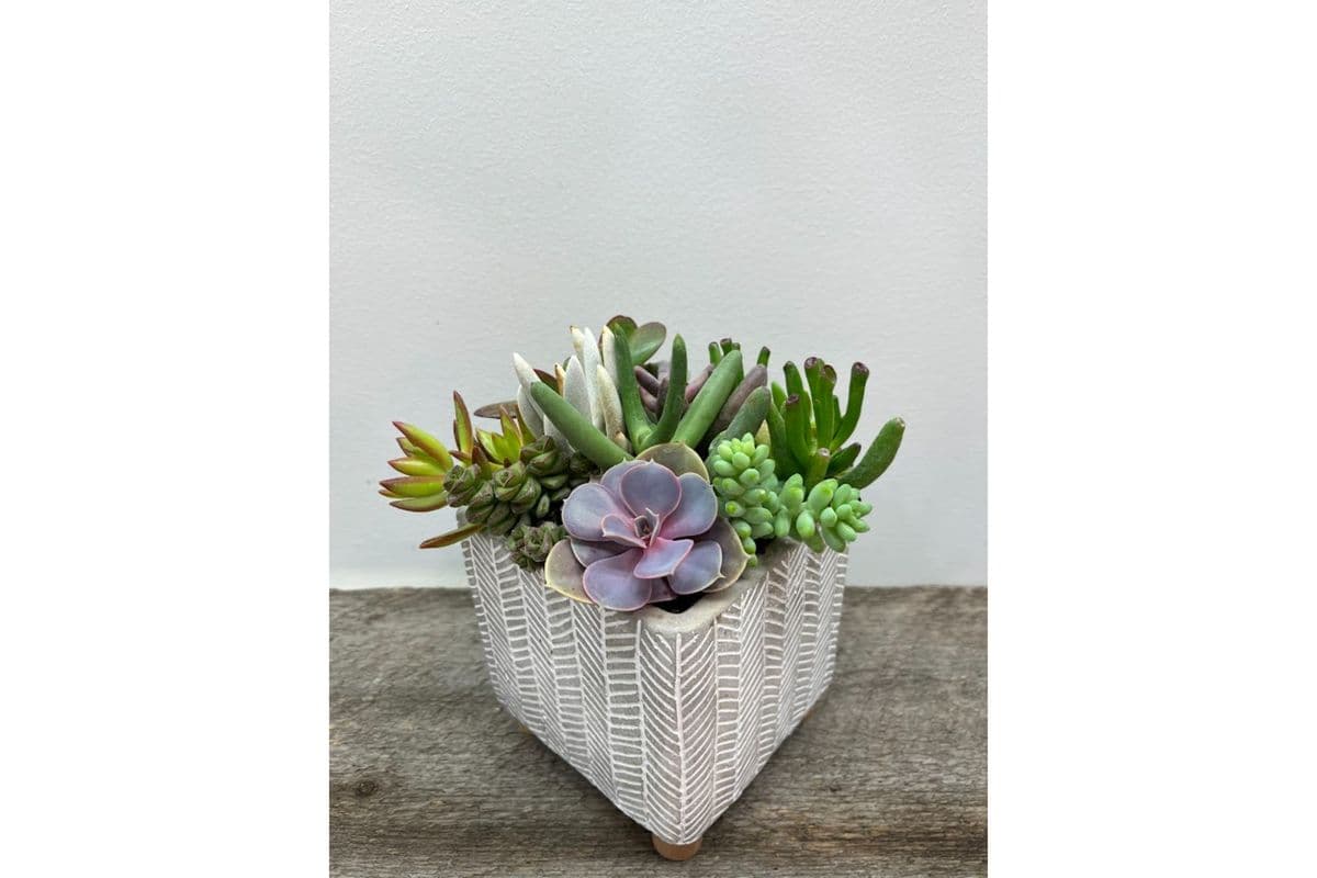 Herringbone Planter