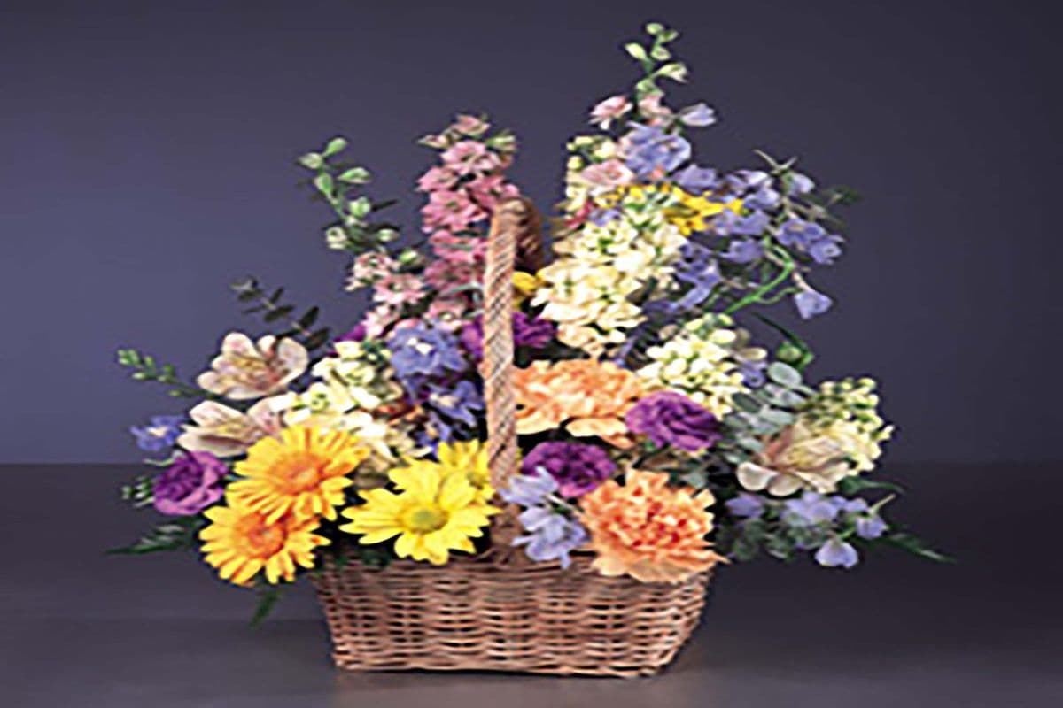 Tender Wishes