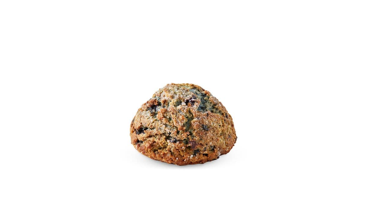 Scone - Blueberry