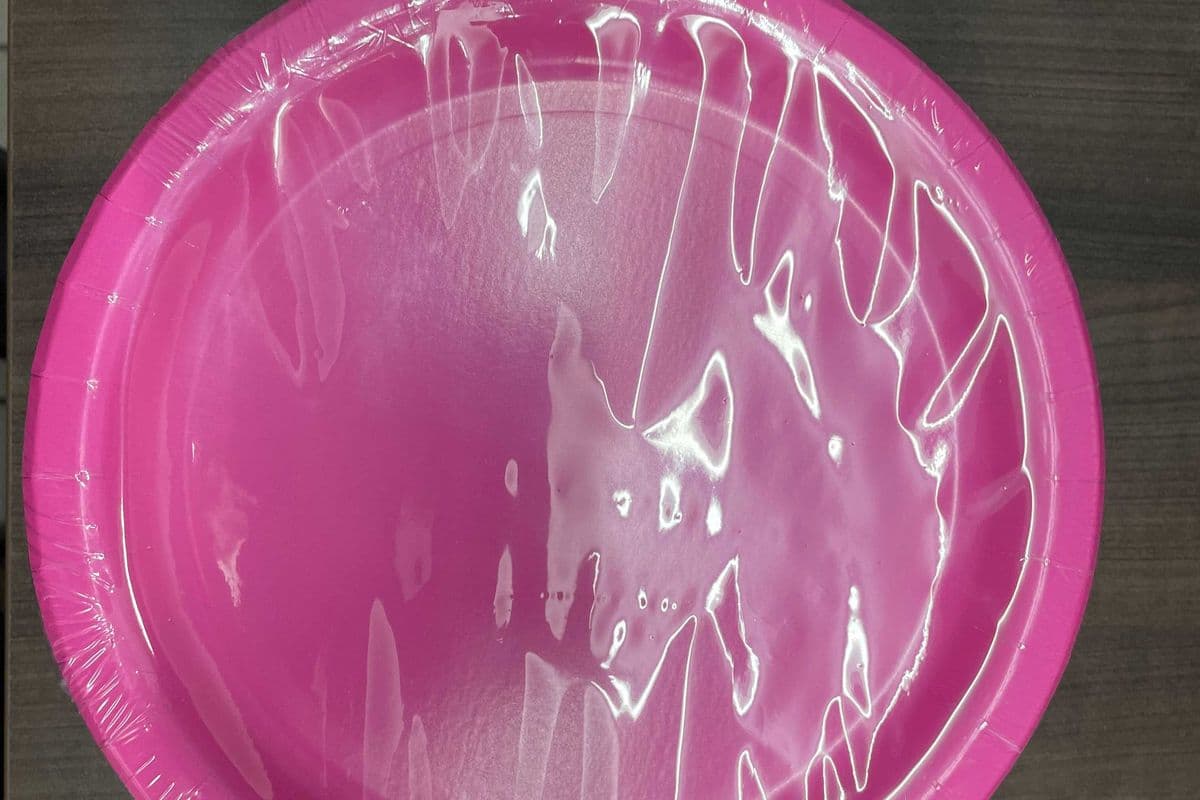 8 Hot Pink 9" Plates (8 Pack)