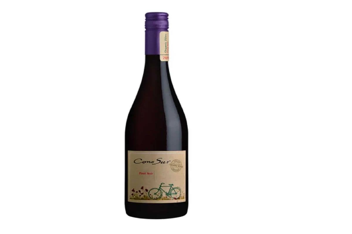 Cono Sur Pinot Noir (1 x 750 ml)