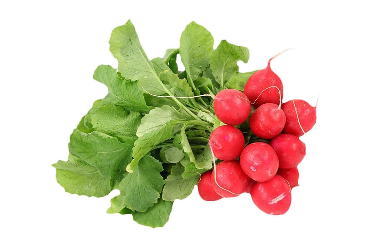 Radish Bunch