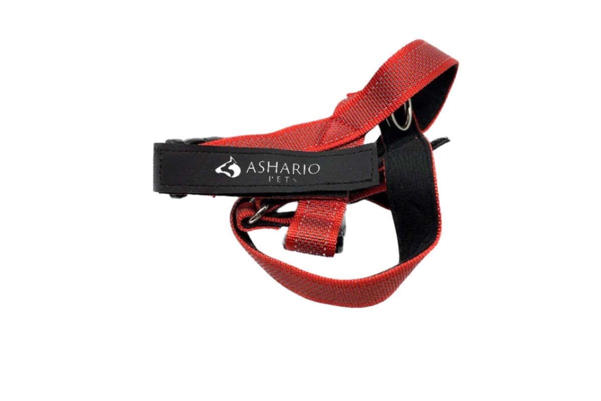 Ashario Pets "BreezyVest" Summer Lightweight Reflective Harness - Red - M (M)