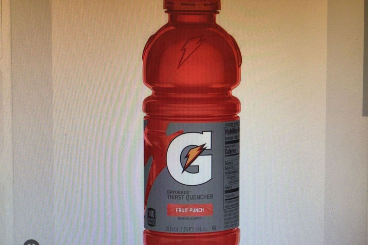 Gatorade Fruit Punch (591 ml)