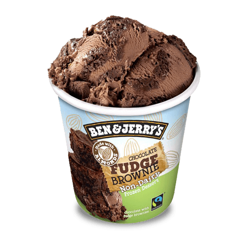 Ben & Jerry's Fudge Brownie Non- Dairy 473mL