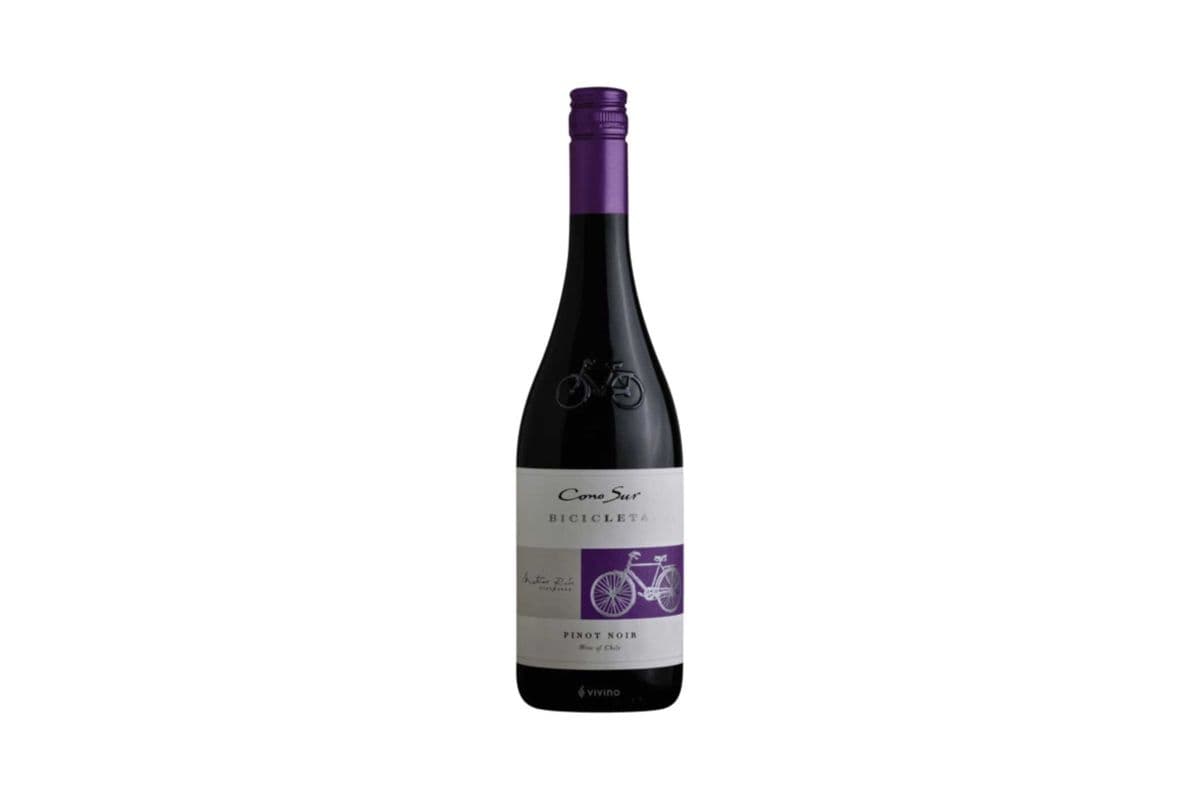 Cono Sur Pinot Noir (1 x 750mL)