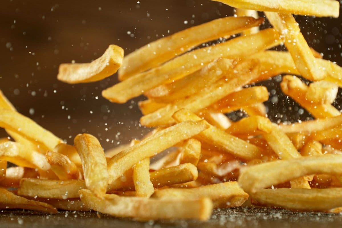 Small Shake Shake Fries