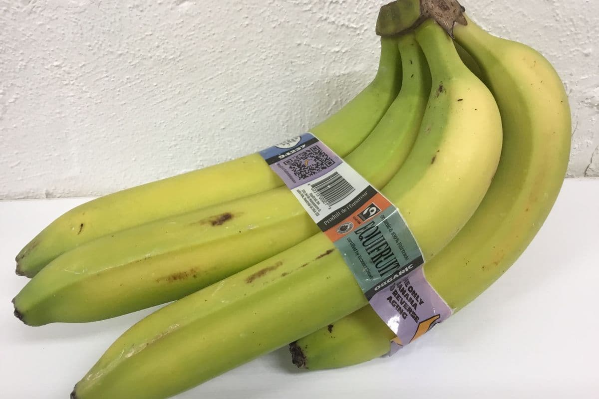Bananas, Fairtrade Organic (1 Bunch of 5)