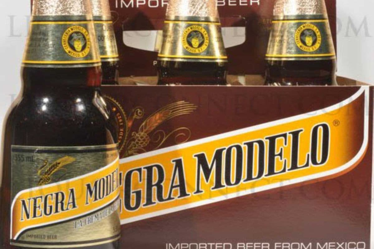 NEGRA MODELO (1 x 6x355mL)