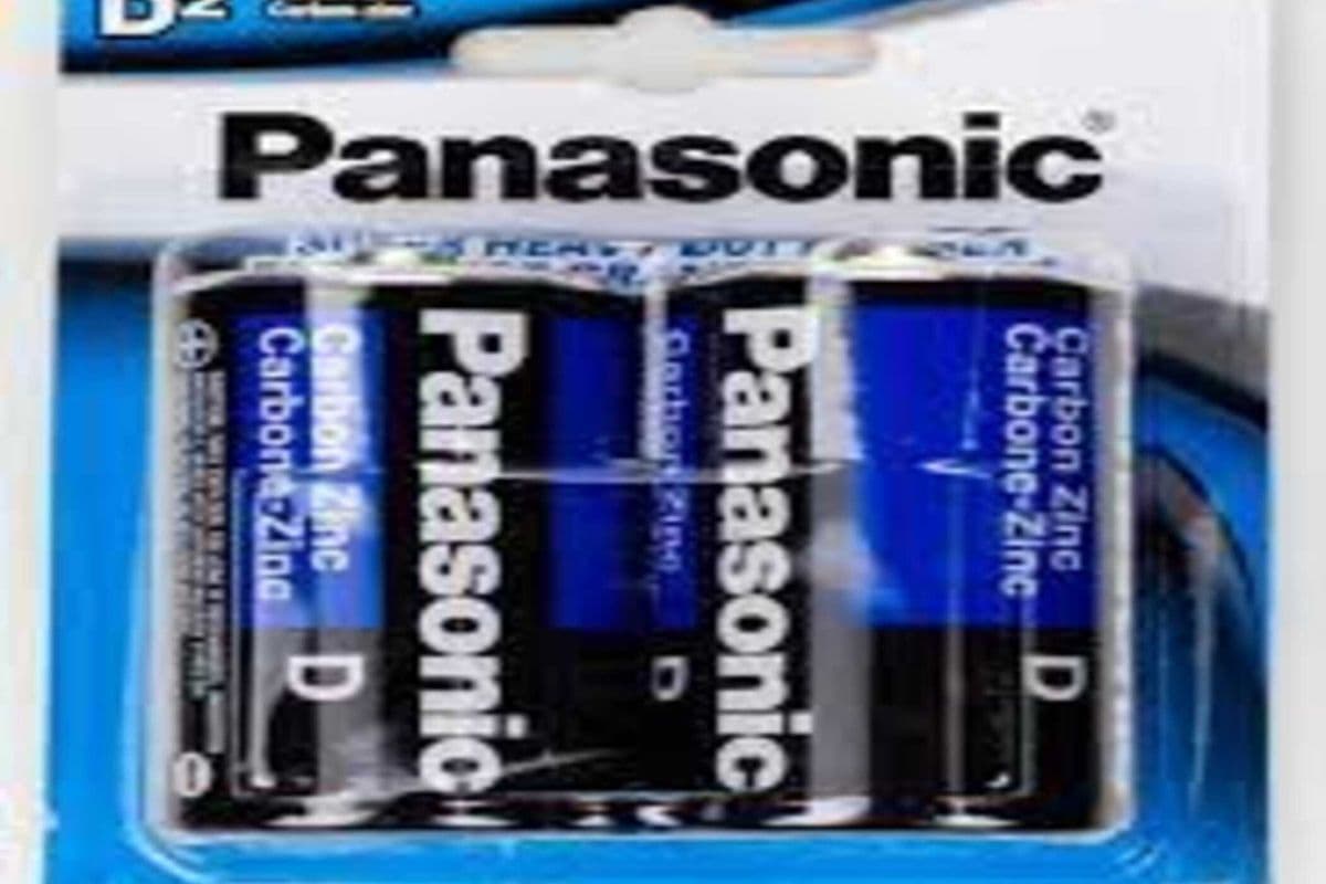 Panasonic D2