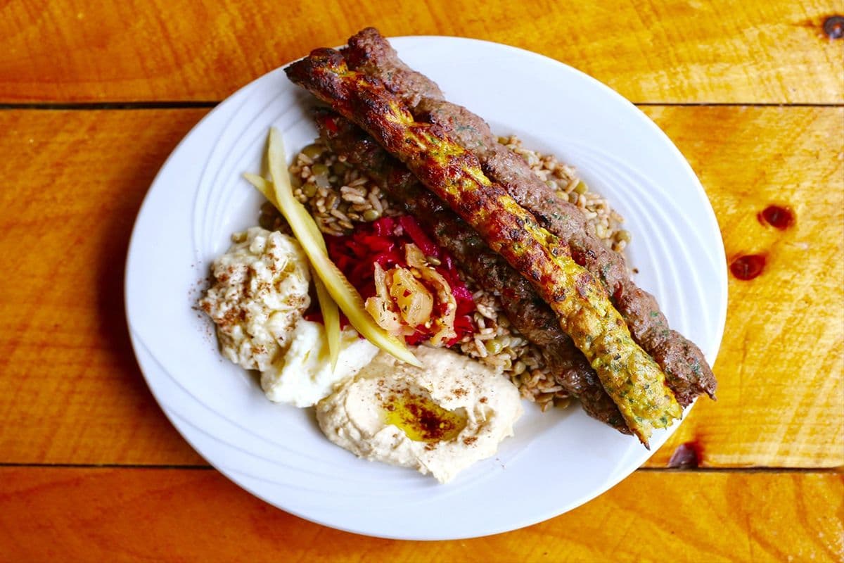 Carnivore