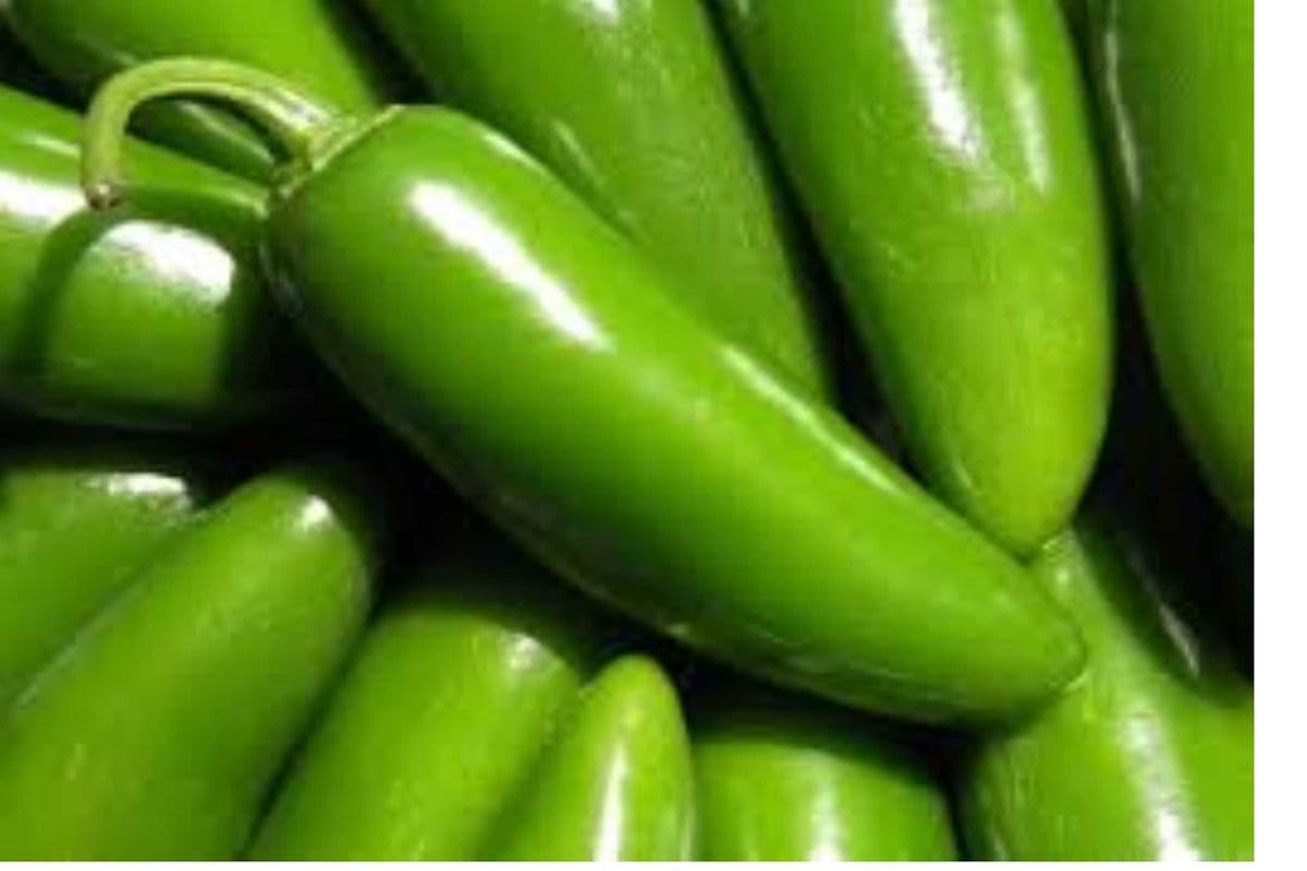 Jalapenos (lb)