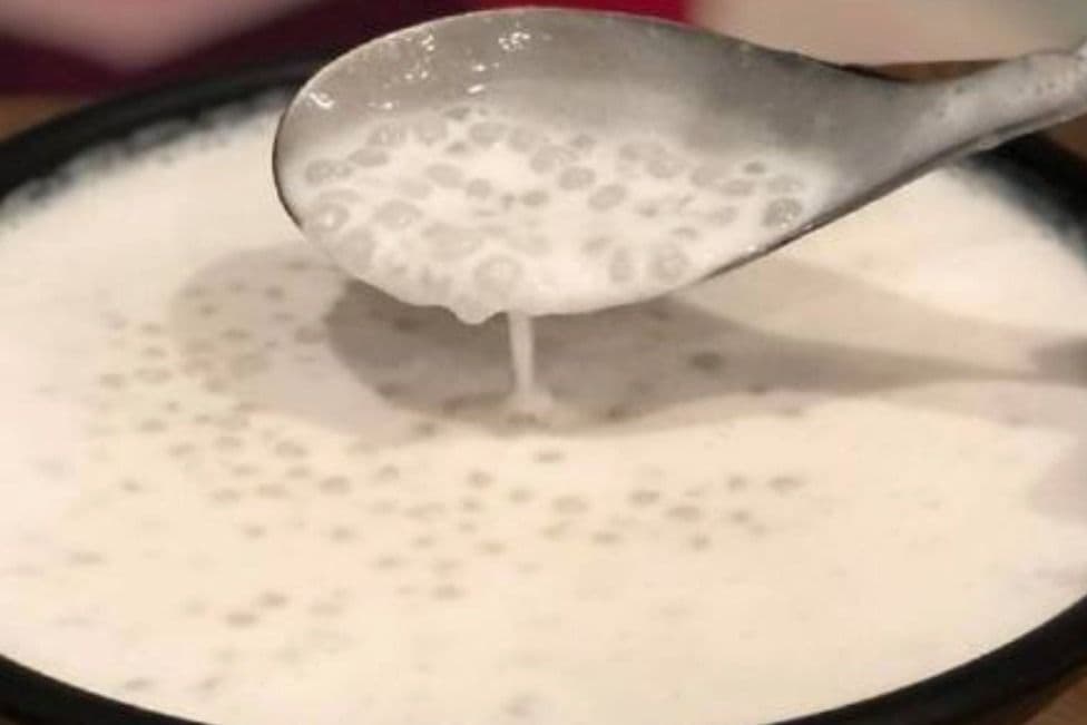 J0. Coconut Milk Sago 椰汁西米露