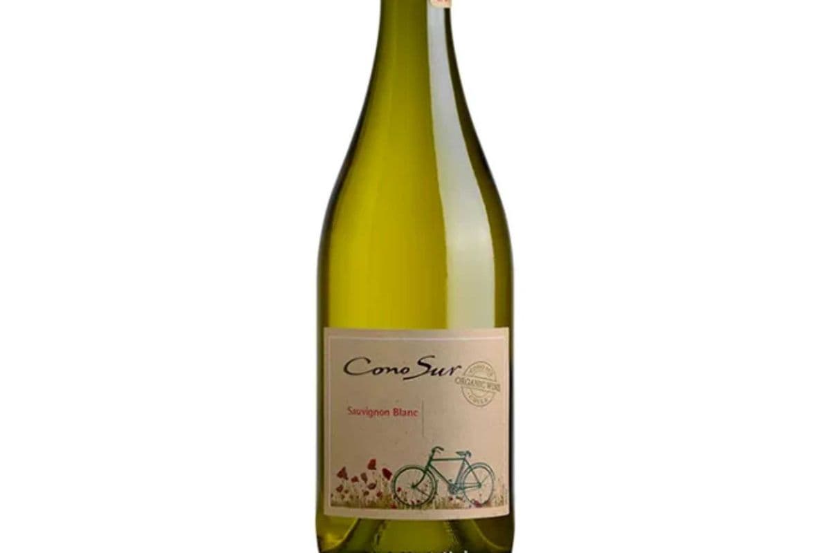 Cono Sur Organic Sauvignon Blanc (1 x 750 ml Bottle)