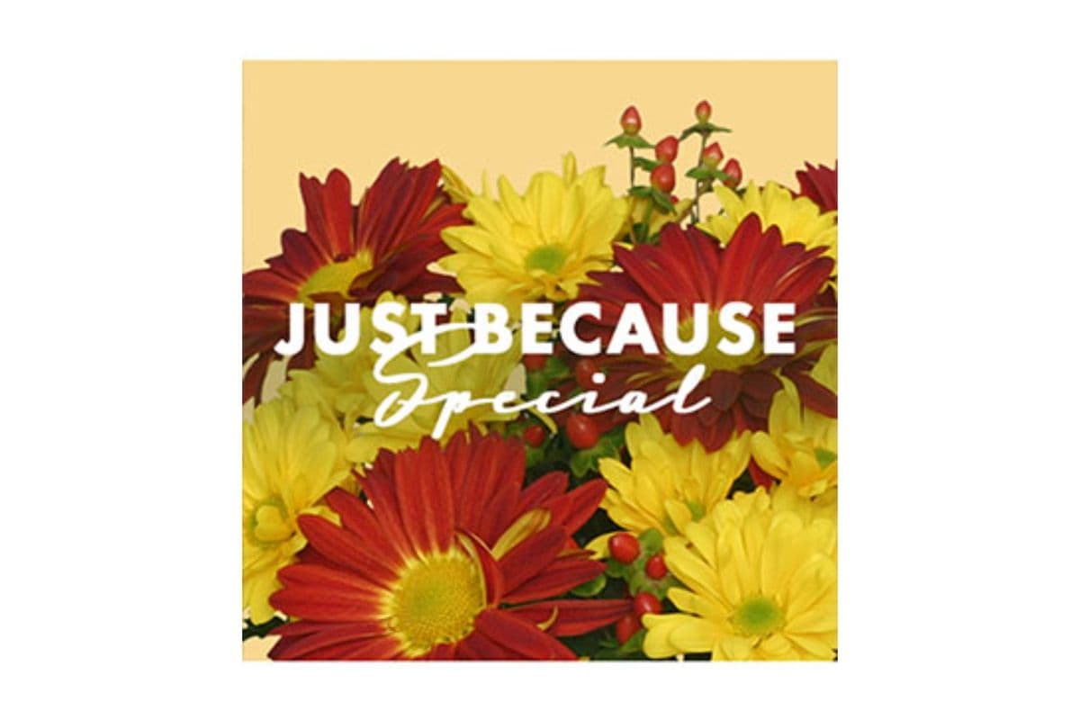 Just Because Special Designer's Choice