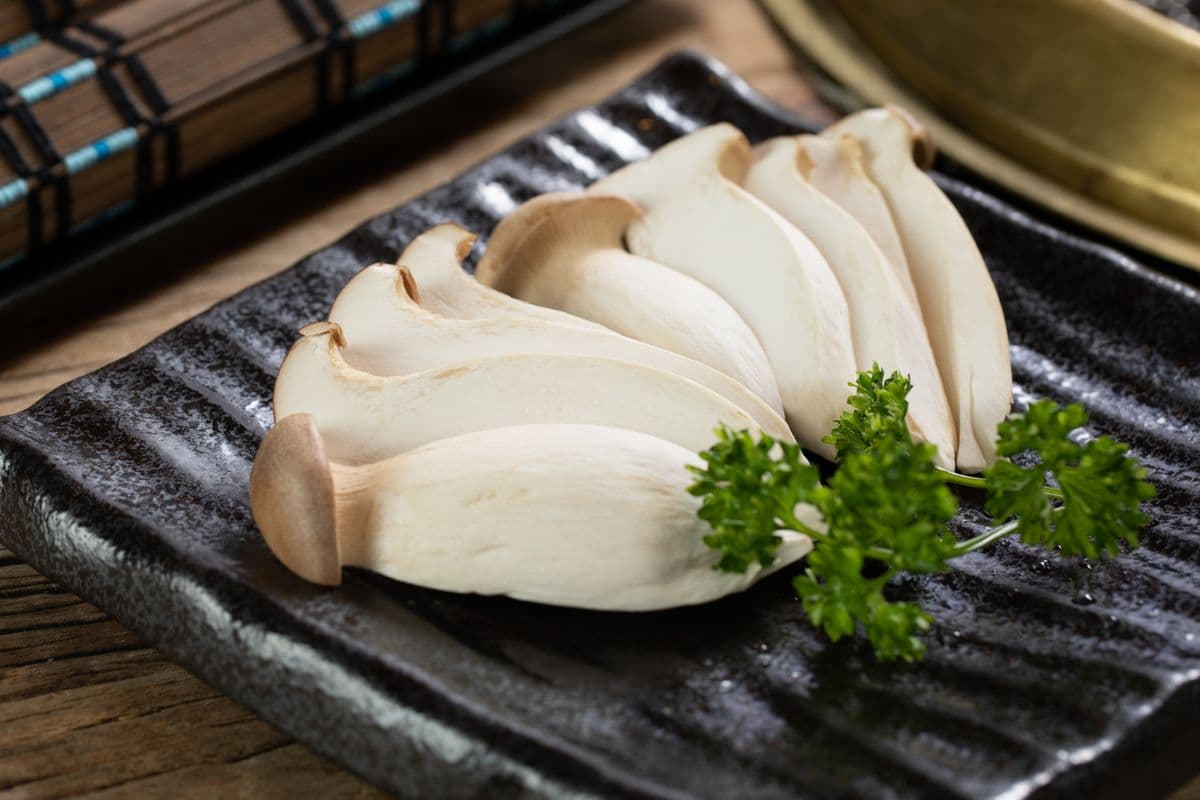 I24.King Oyster Mushroom