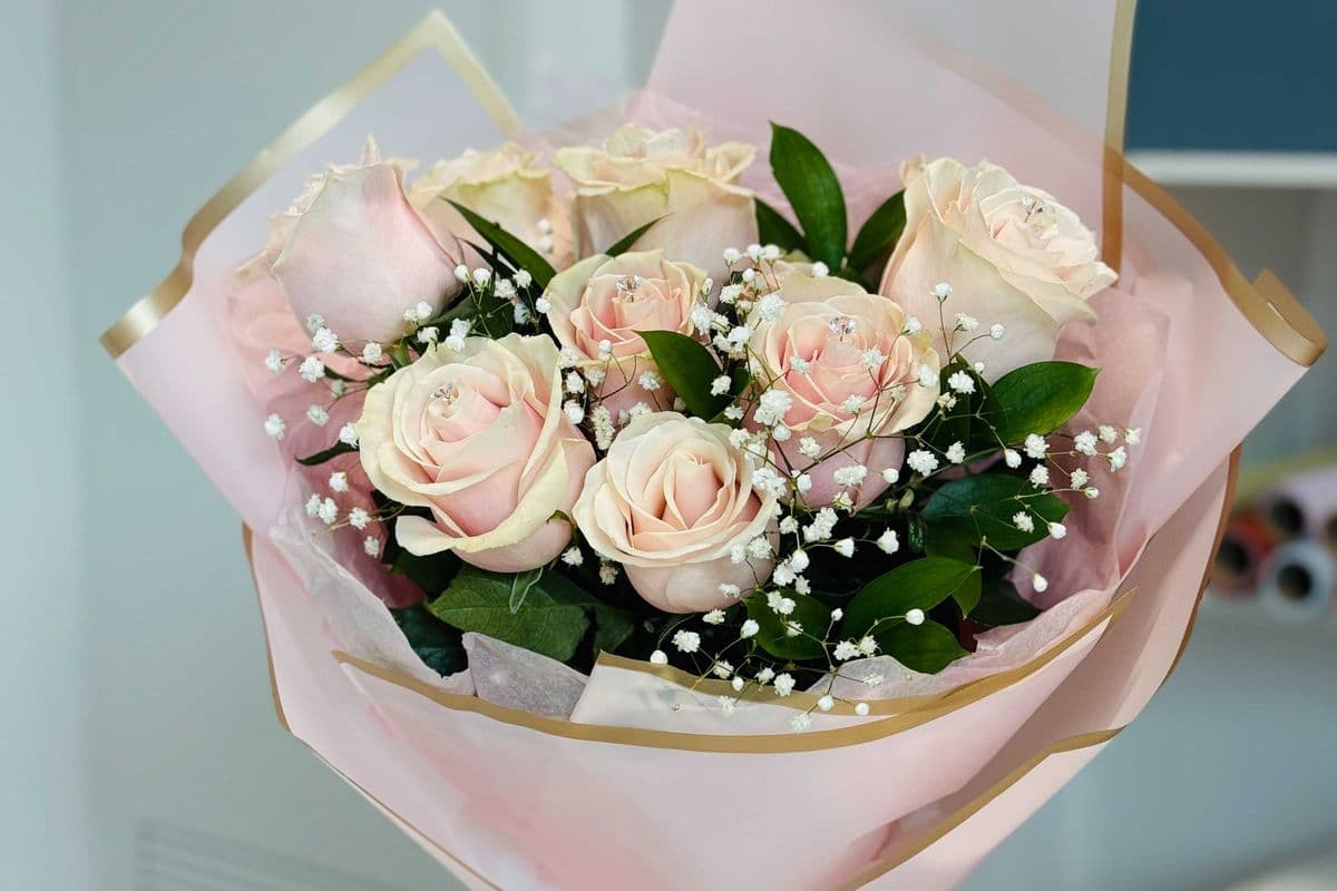 Blush Promise