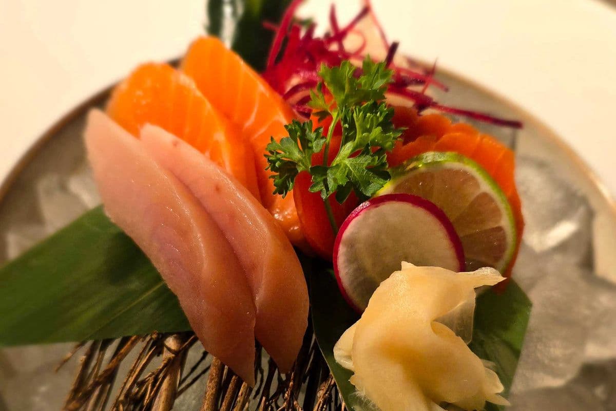 Appetizer Sashimi