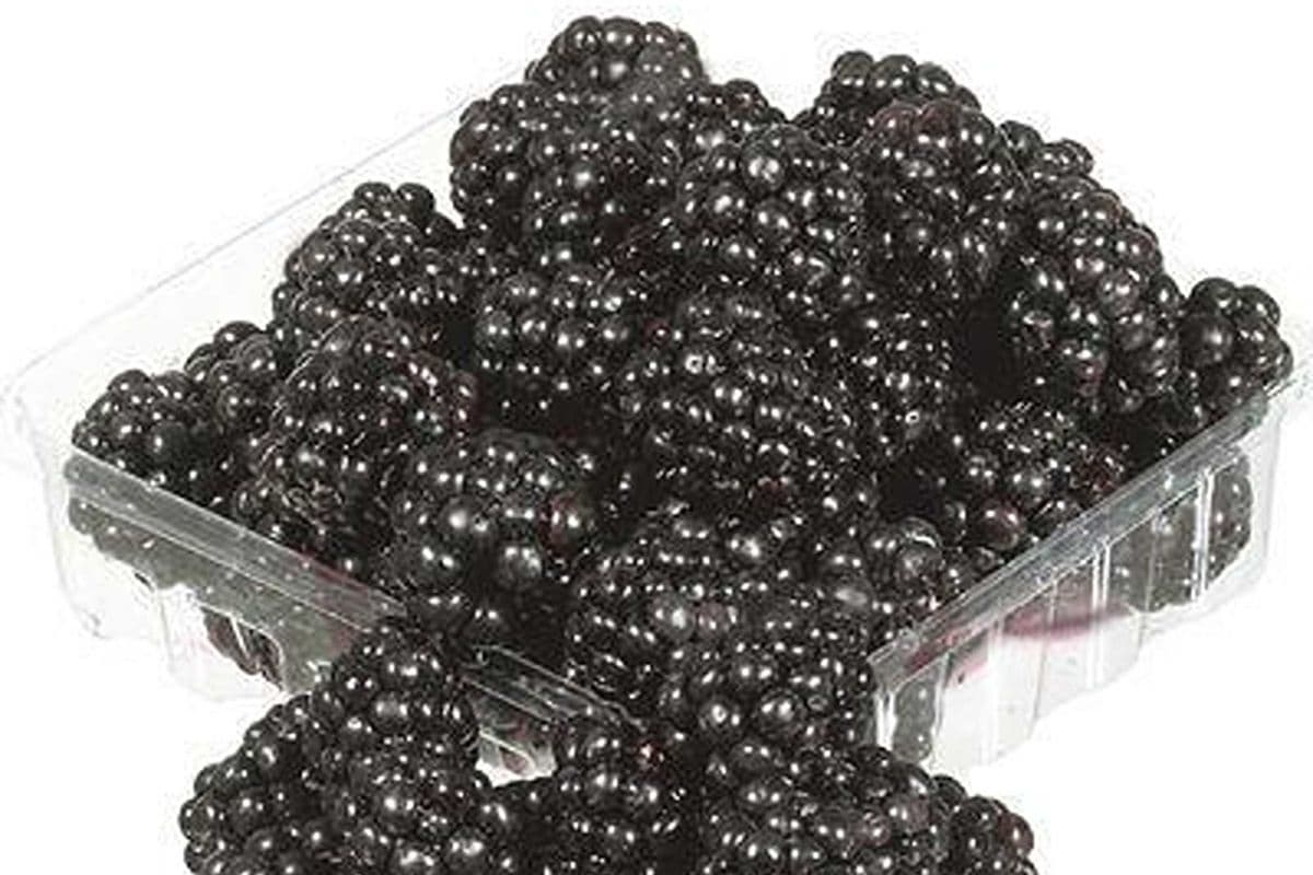 Mures / blackberries (170g)