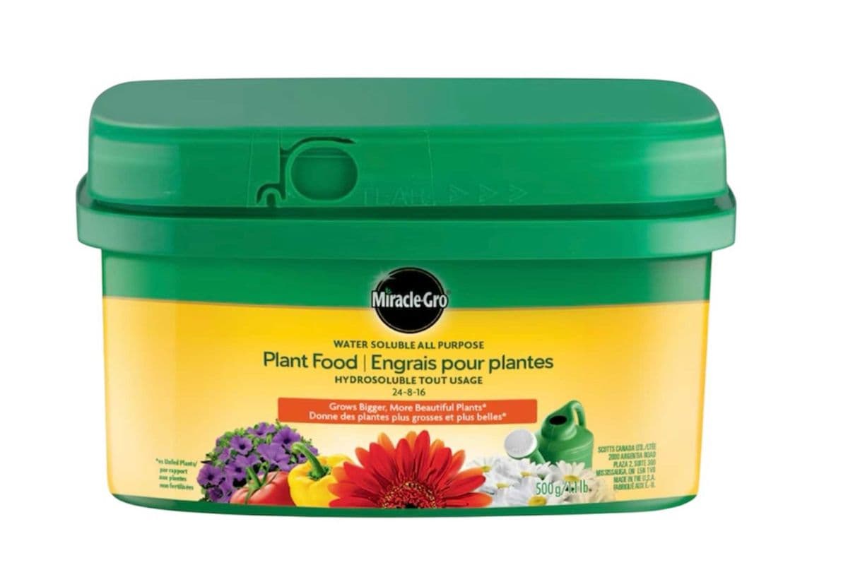 Miracle-Gro Water Soluble All Purple Plant Food - 500g