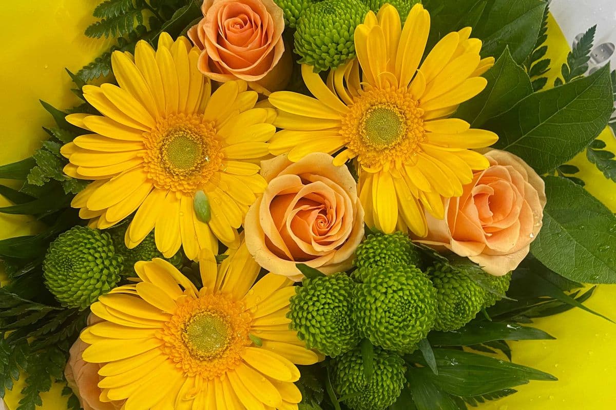 Roses & Gerbera Bouquet - Large