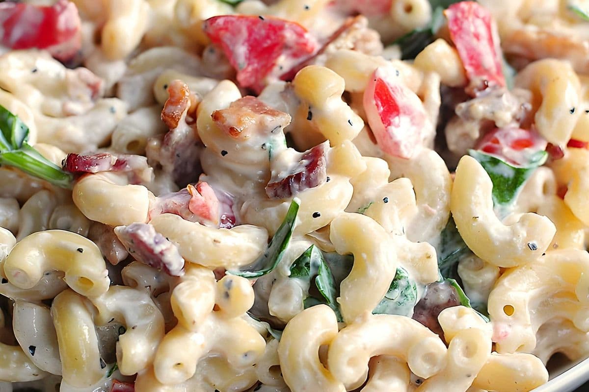 cold mac salad pasta