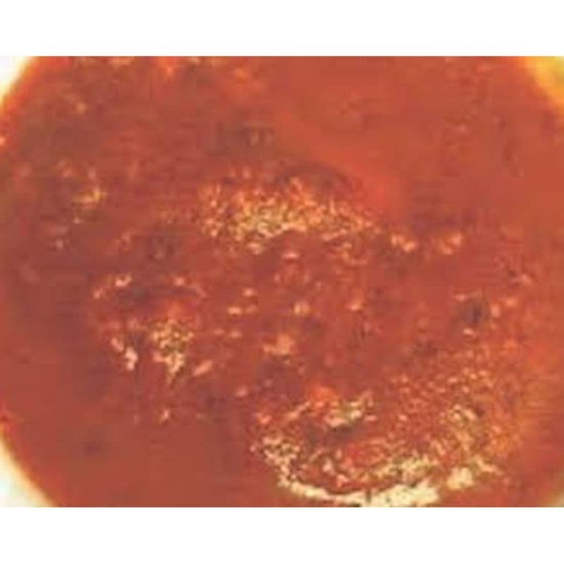 Spicy Vindaloo Sauce