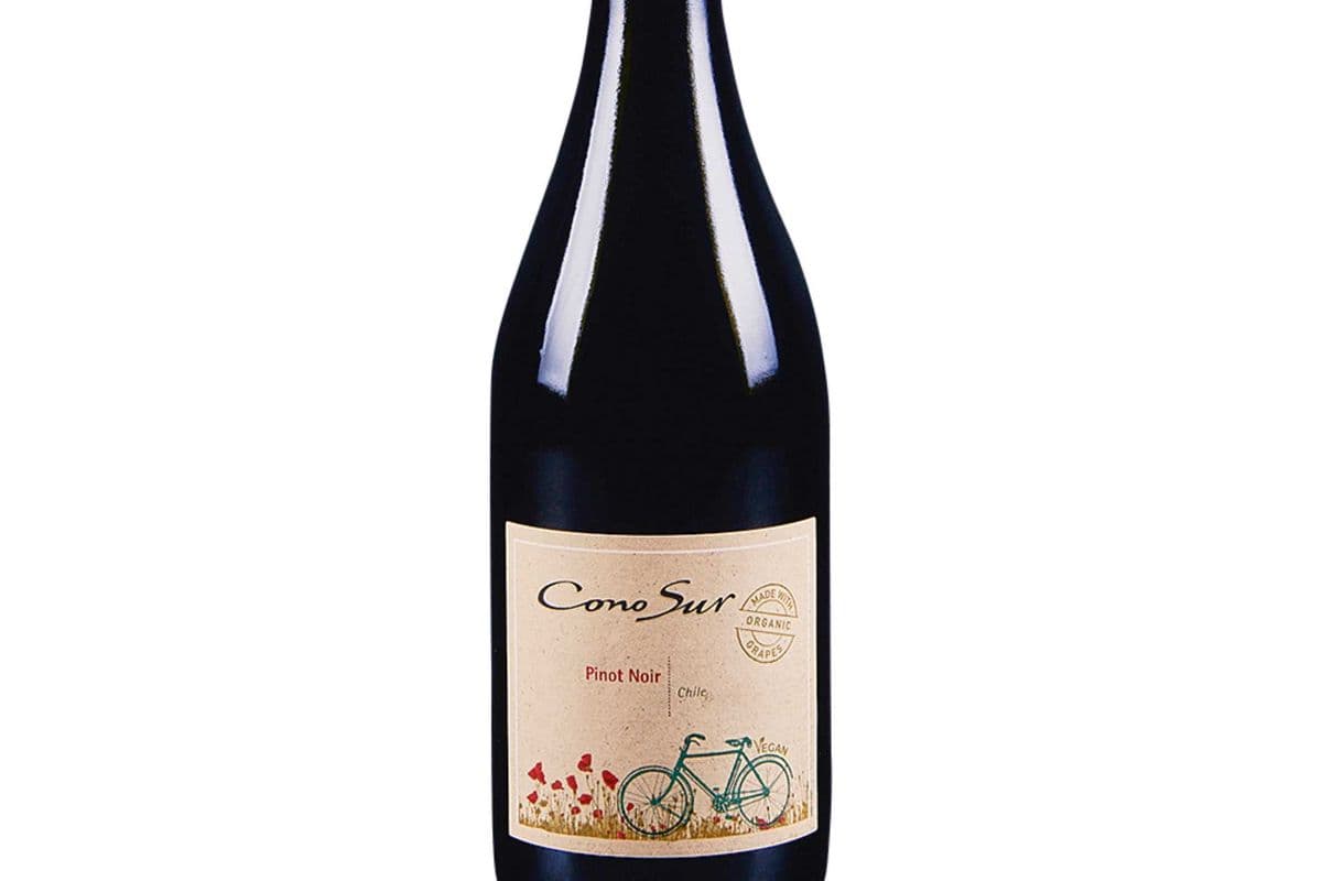 Cono Sur Organic Pinot Noir (1 x 750 ml Bottle)