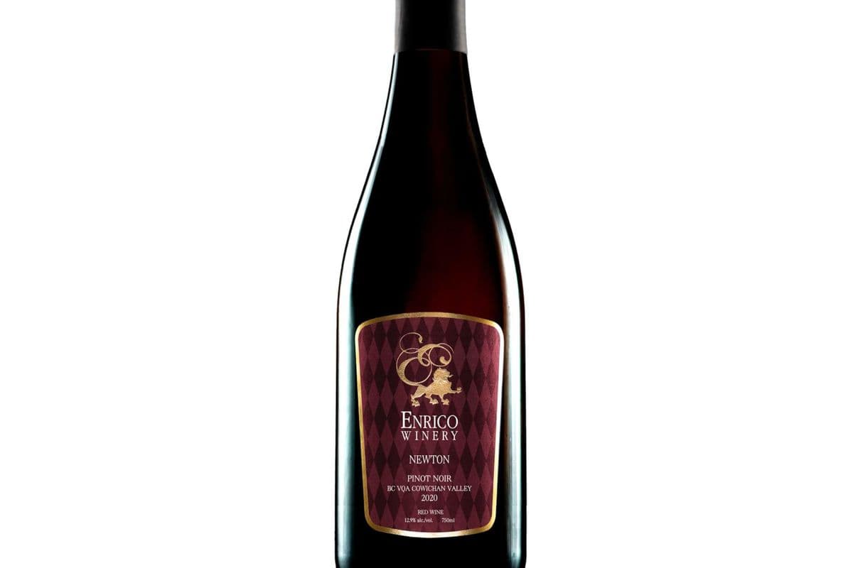 Enrico Pinot Noir (1 x 750ml)