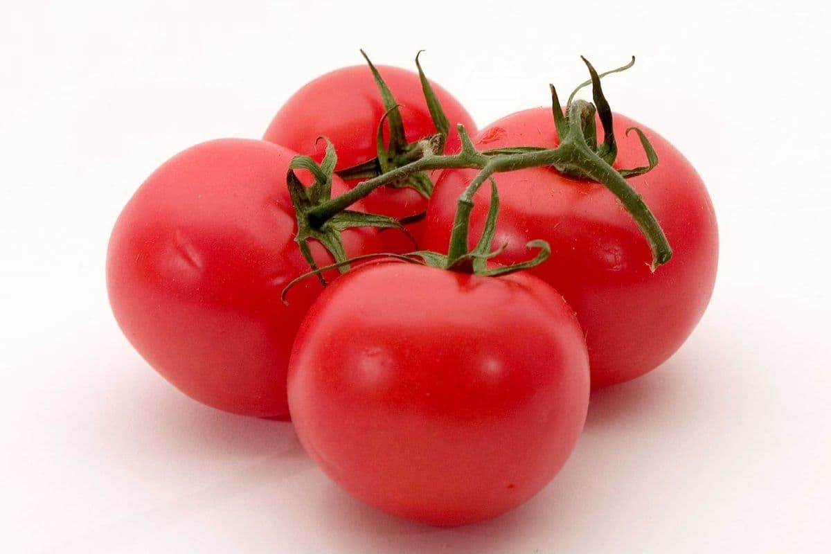 Tomates/Tomatoes