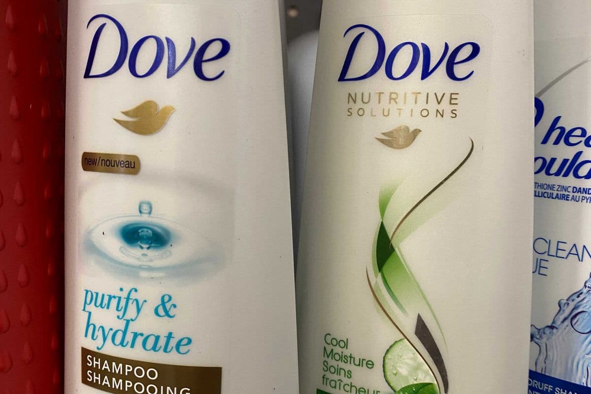 Dove Shampoo (355 ml)