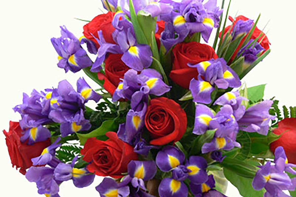 2 Dozen - Red Roses and Irisi's