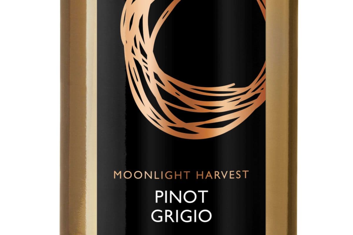 Copper Moon Pinot Grigio 4L (1 x 4 L)