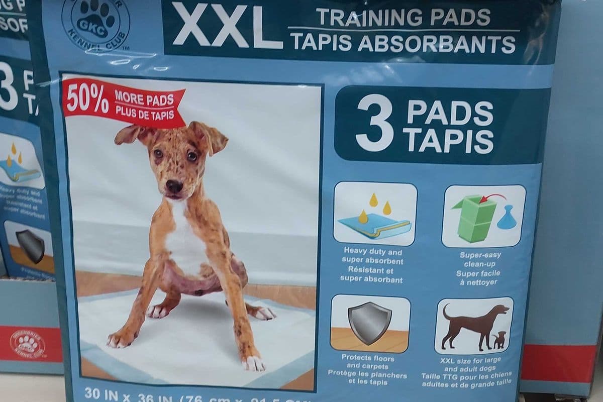 Training pads xxl 3pad in one pack