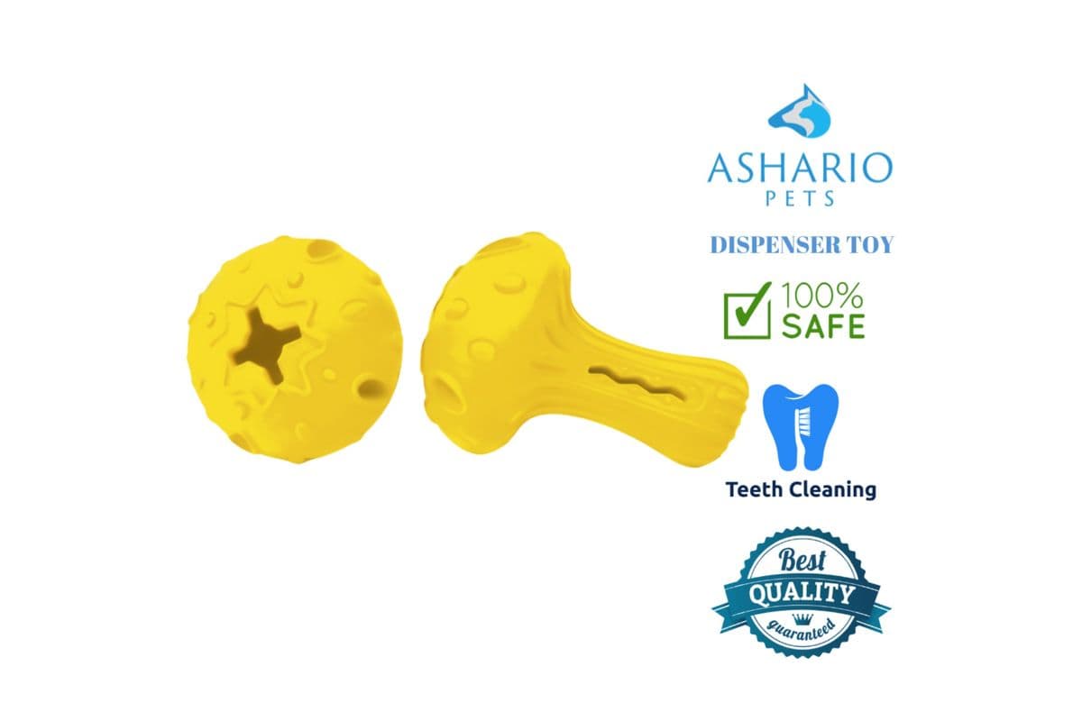Ashario Pets - Dispenser Dog Toy - Mushroom