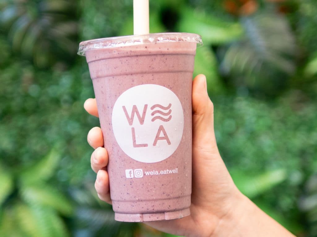 Blueberry Avocado Shake